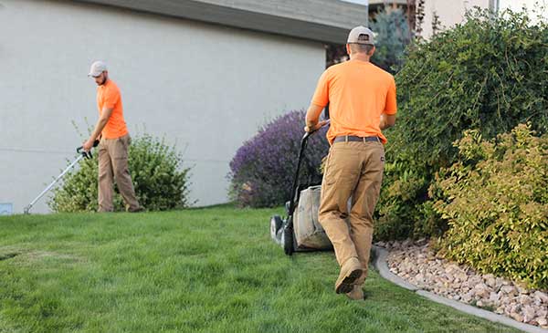 Landscape Company In Vernon Bc • Vernon Lawn Mowing Service 