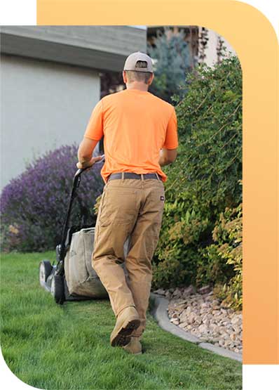 lawn-care-landscaping-services